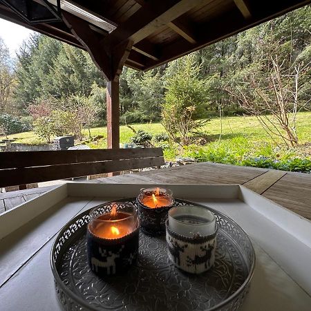 Charming Villa On The Forest In Wald 12 Guests Hugh Garden Willingen Sauerland Brilon Eksteriør billede