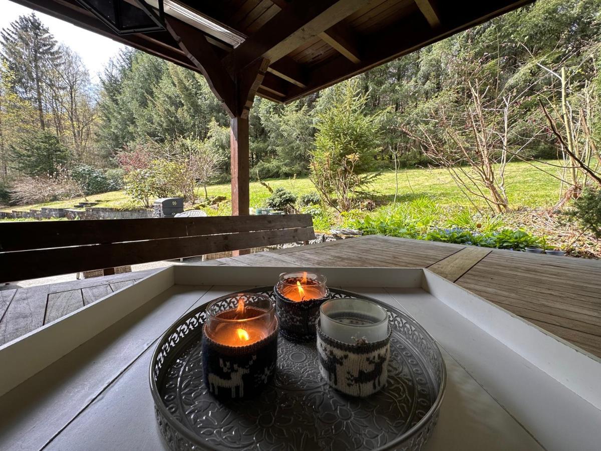 Charming Villa On The Forest In Wald 12 Guests Hugh Garden Willingen Sauerland Brilon Eksteriør billede
