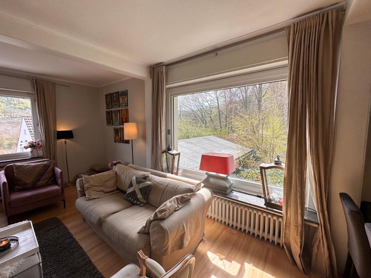 Charming Villa On The Forest In Wald 12 Guests Hugh Garden Willingen Sauerland Brilon Eksteriør billede