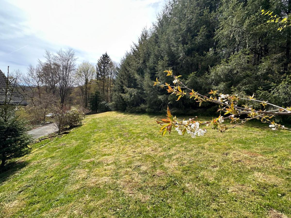Charming Villa On The Forest In Wald 12 Guests Hugh Garden Willingen Sauerland Brilon Eksteriør billede