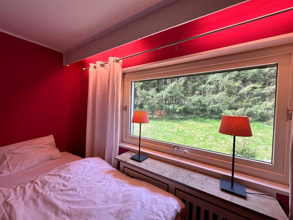 Charming Villa On The Forest In Wald 12 Guests Hugh Garden Willingen Sauerland Brilon Eksteriør billede