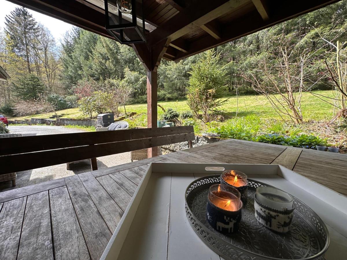 Charming Villa On The Forest In Wald 12 Guests Hugh Garden Willingen Sauerland Brilon Eksteriør billede