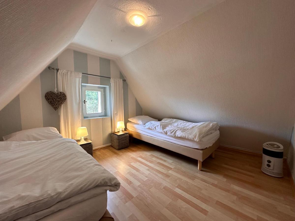 Charming Villa On The Forest In Wald 12 Guests Hugh Garden Willingen Sauerland Brilon Eksteriør billede